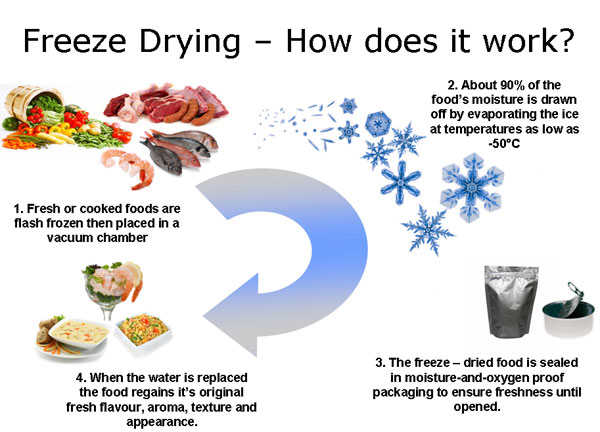 Freeze Drying: How It Works, Benefits, and How-to
